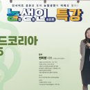 10 이미지