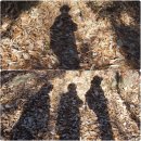 통일이음길 이미지