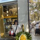 BUBBLE PARK 이미지