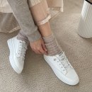 다미 이미지