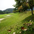 태인컨트리클럽 이미지