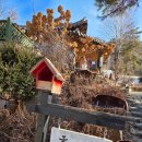 흙사랑3농장 이미지