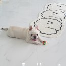 큐티하개_함 이미지