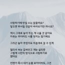 지난 오늘 글 (1월17일) 이미지