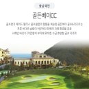 골든베이 이미지