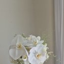 자매의뜰 | 화이트호접난부케는 자매의뜰 flower atelier 에서 준비하세요 안양/과천/군포/수원/강남/서울 본식부케...