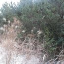 회수동-4 이미지