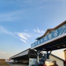 누리비 | 하늘을 나는 특별한 경험[경비행기 체험 : 하늘누리 비행교육원] 직접 조종하기