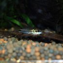 눈플러스안경원 이미지