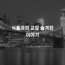 우연과 만남의 교감 네이버블로그