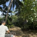 스위트짐 이미지