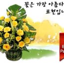 화원꽃마을 이미지