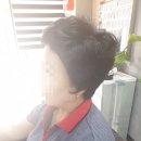 바비지안 이미지