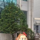 정왕2동주민센터 | 시흥시 마을공동체 축제교육(정이마을 동화축제 앞으로도 많관부!)