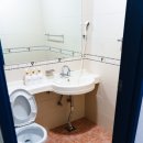 도그스토리 이미지