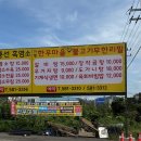 한우 평 이미지