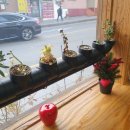 카페심플 이미지