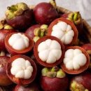 망고스틴 효능 칼로리 망고스틴 맛 제철 보관 방법 이미지