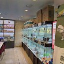 도그마루 강아지고양이 대전점 이미지