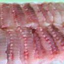 종합수산시장 이미지