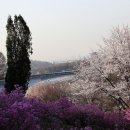 부천시 견인차량보관소 이미지