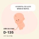 [임신 20주] 도곡 함춘 정밀 초음파 후기 비용 (+ 바우처 잔액)