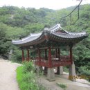 대성암 갈림길 이미지