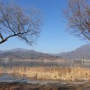리노환경연구소