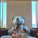 거제기상관측소 | 아들 둘과 함께한 거제 여행 DAY 2-2｜하루 마무리는 삼성호텔에서