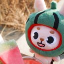 데이식스 DAY6 월드투어 공식 MERCH 모음 이미지