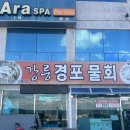 강릉 물회 맛집 강릉경포물회 내돈내산 후기