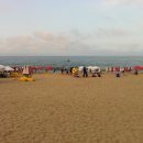 경포대가는길 이미지