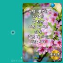 "홍하사의 잡다한이야기"---(1178) "인생 이야기"---(90) "의사의 길? 장사꾼의 길?" 이미지