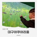 대구 신세계 아쿠아리움 방문 후기 운영시간 주차 먹이체험 인어공연