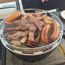 빌라드루이 | [애견동반펜션] 뷰가 좋은 가평 애견동반 펜션 빌라드루이 후기