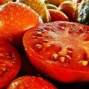 토마토휘트니스클럽 이미지