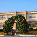 낙동동부초등학교 이미지