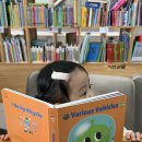 도레미스툴 | 인천 사과나무어린이서점 유아 전집 구매후기