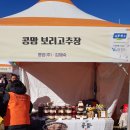 20231112-연천율무축제