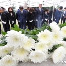 서울효창의원 뉴스1