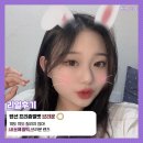 프리즘소프트 네이버블로그