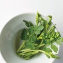 3월 봄나물 봄김치 이미지