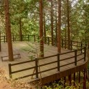 여수봉황산자연휴양림 이미지