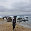 정동진역 이미지