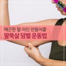 매끈한 팔 라인 만들어줄 팔뚝살 덤벨 운동법 이미지