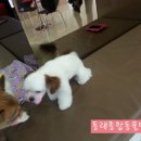 동래종합동물병원 이미지