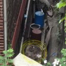 응봉농장 이미지