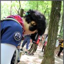 중대골 영생농원 앞 | (17-18) 2017.06.10.수락산역사문화탐방