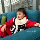 정원펜션 | 용인 모네정원펜션 내돈내산 후기! 도훈이랑 친구들이랑 힐링 여행