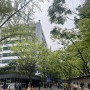 덕수궁길 | [서울 산책] 덕수궁길/차 없는 거리